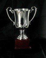 Silver Trophy Cup - Large (23 cm)