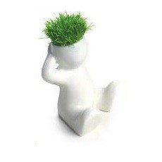 Small Grass Heads (8 pcs)