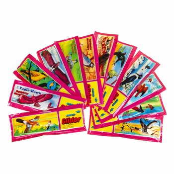 Bird Foam Gliders in Display (48 pcs)