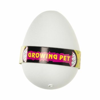 Dinosaur Growing Egg in Display (12 pcs)