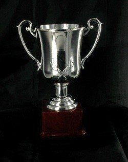 Silver Trophy Cup - Large (23 cm)