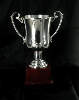 Silver Trophy Cup - Large (23 cm)