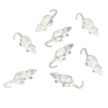 8 TRANSPARENT mice in HAT (12netjes)