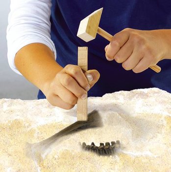 SES Explore T-Rex Excavation Set (1 pc.)